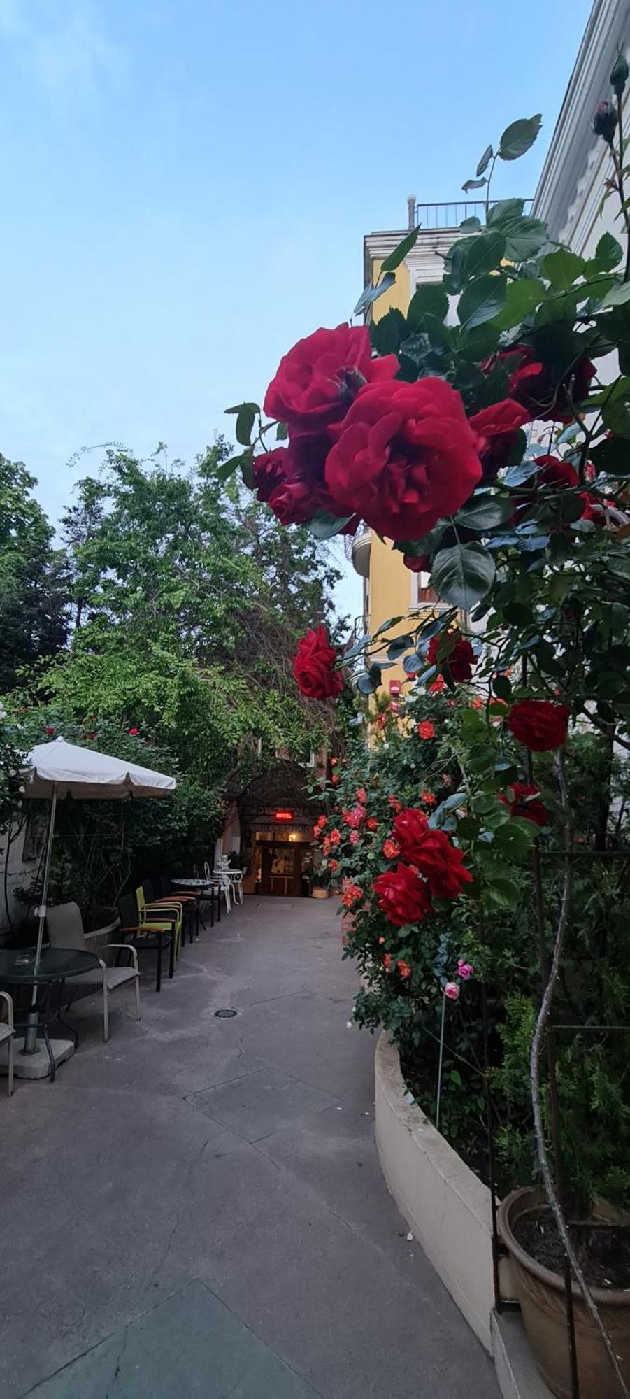 Casa Michelangelo Hotel Boekarest Buitenkant foto